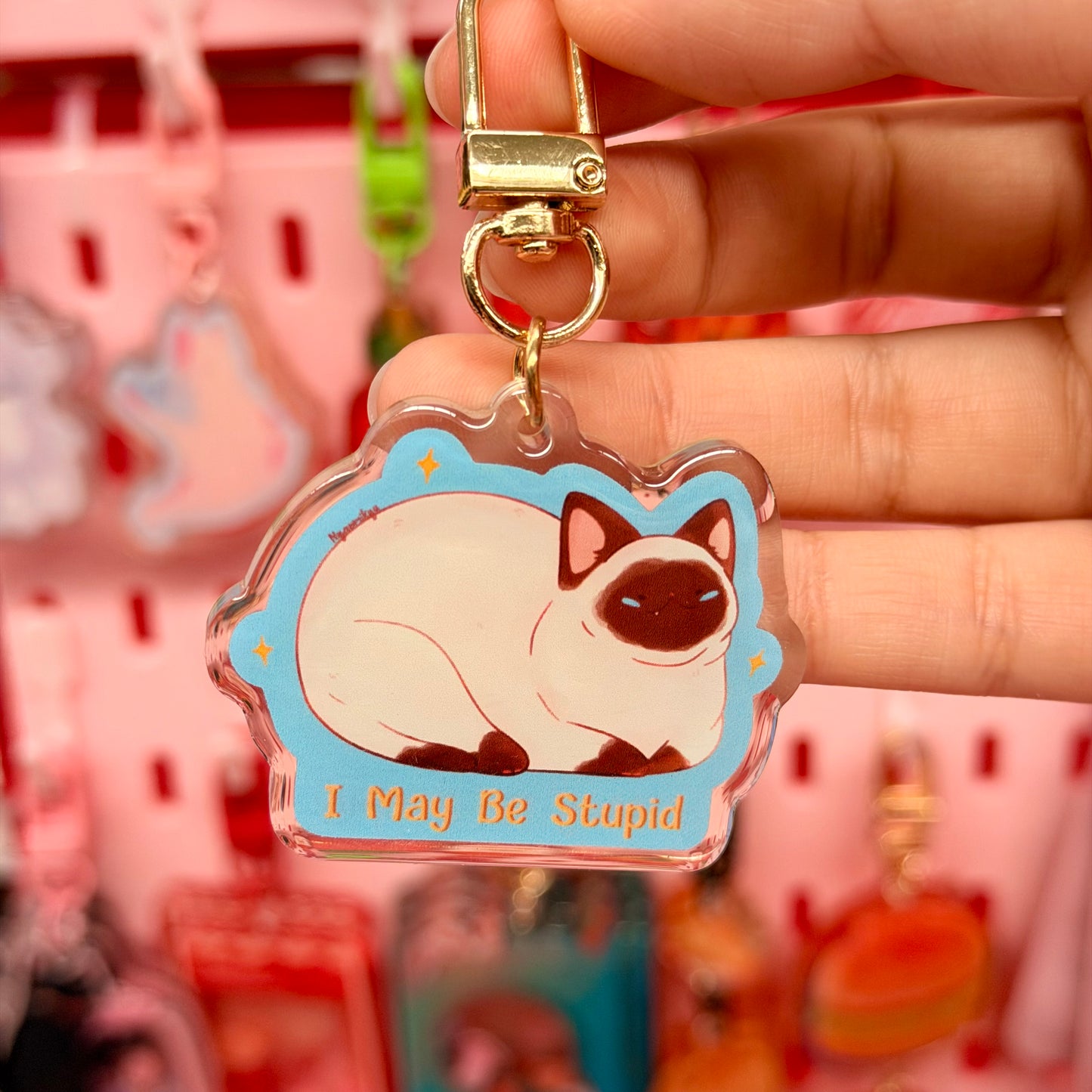 I May Be Stupid Cat Keychain