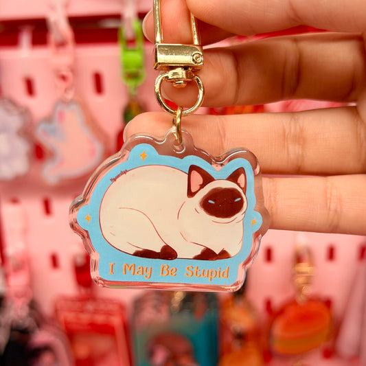 I May Be Stupid Cat Keychain